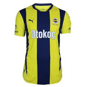 Edin Džeko Fenerbahçe shirt