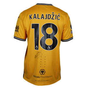 Saša Kalajdžić | Wolves 