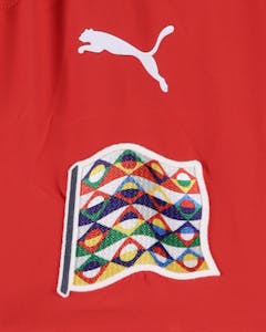 Alexander Prass Austria shirt