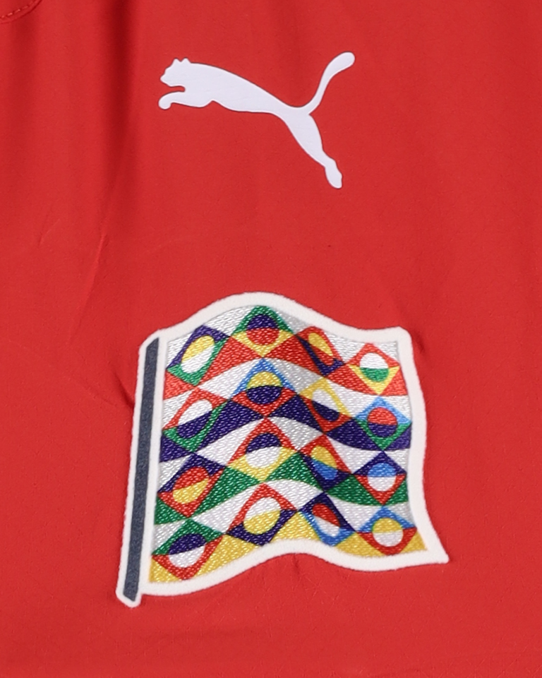 Alexander Prass Austria shirt