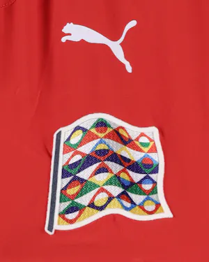 Austria-Trikot von Marko Arnautović