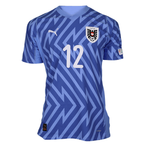 Niklas Hedl Austria jersey