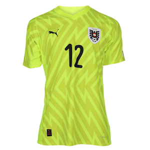 Niklas Hedl Austria jersey