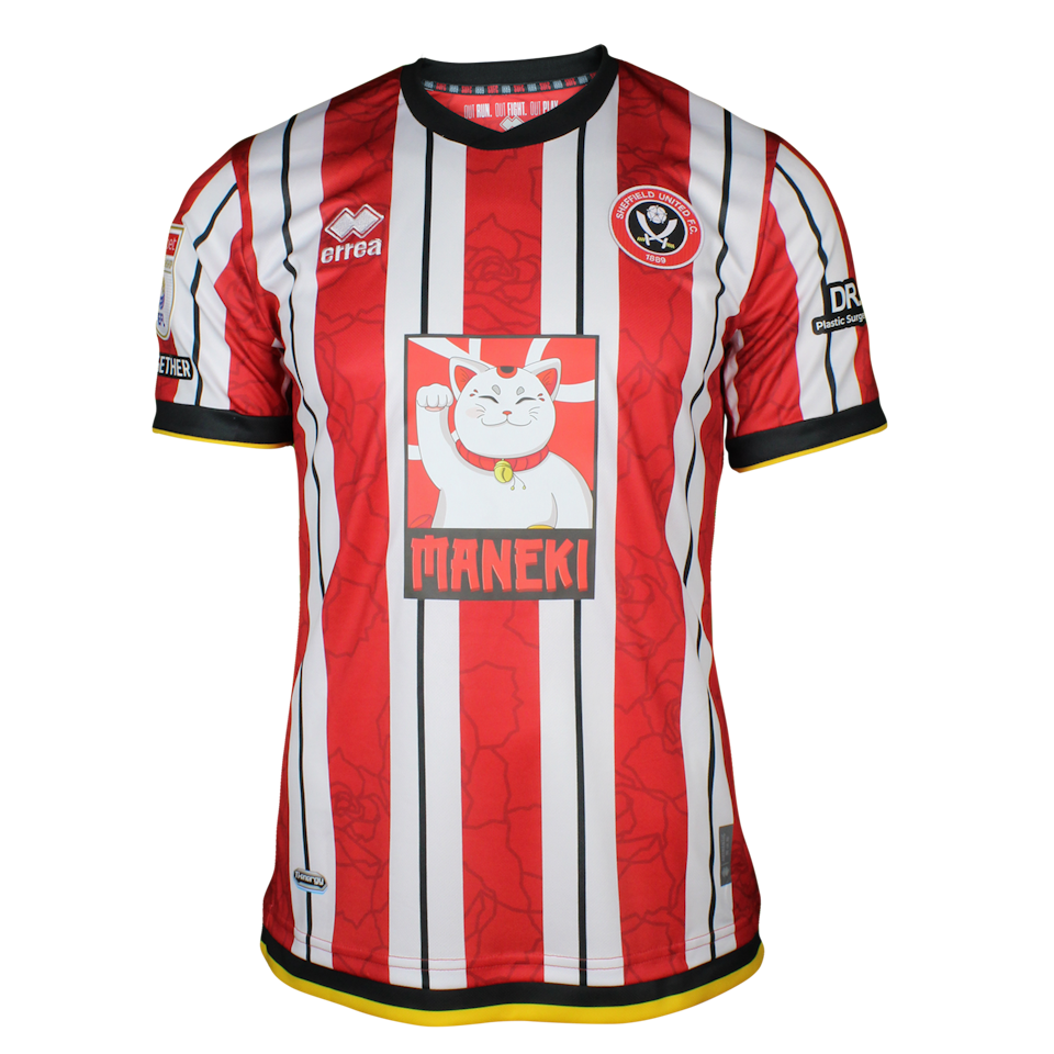 Gustavo Hamer Sheffield United forması