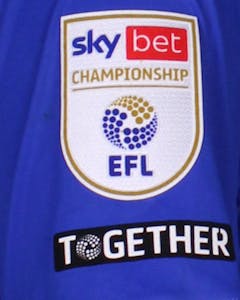 David Turnbull Cardiff City FC camisa.