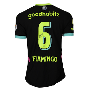 Maillot de Ryan Flamingo (PSV)