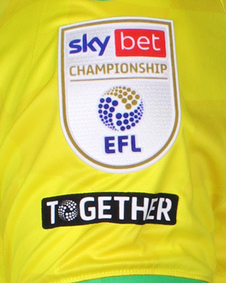 Borja Sainz Eguskiza Norwich City shirt