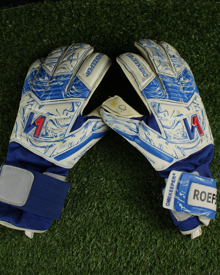 Robin Roefs | Goalkeeper Gloves 
