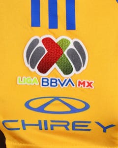 Rafael De Souza Pereira Tigres UANL shirt