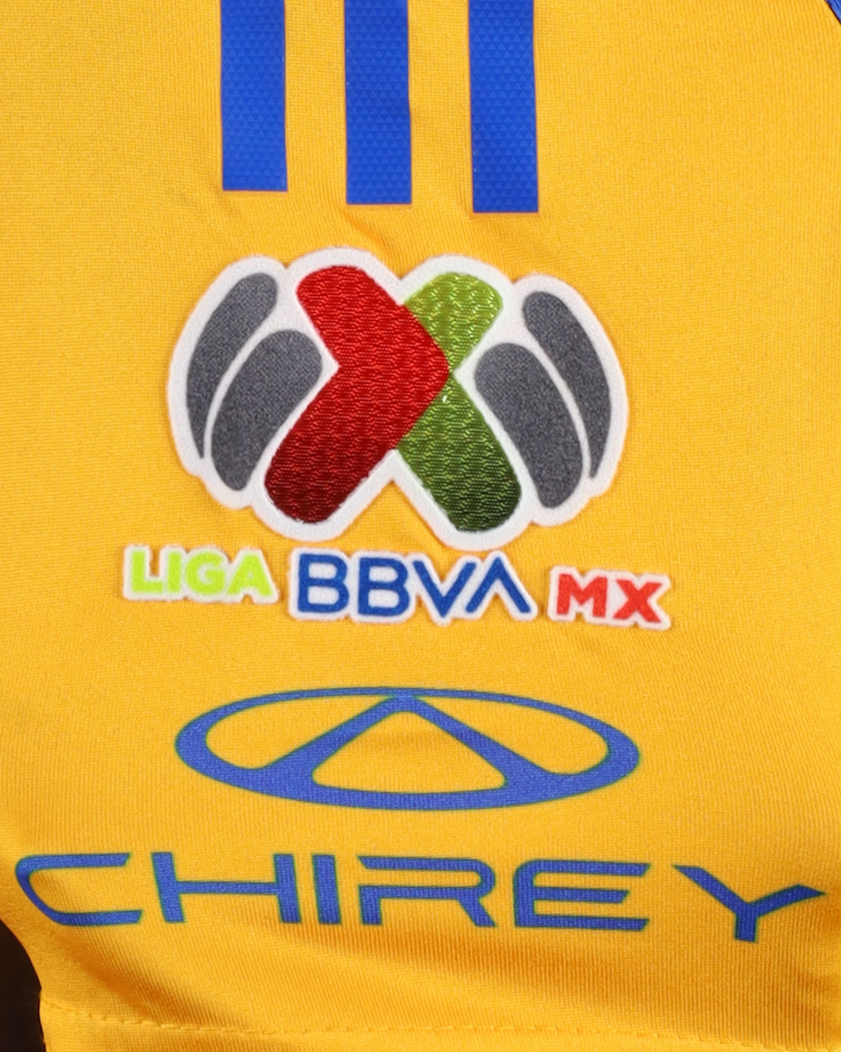 Juan José Sánchez Purata Tigres UANL shirt