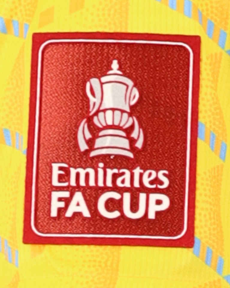 Camiseta Lewis Ward AFC Wimbledon