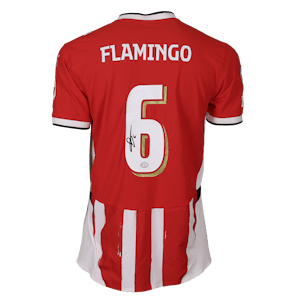 Maillot de Ryan Flamingo (PSV)