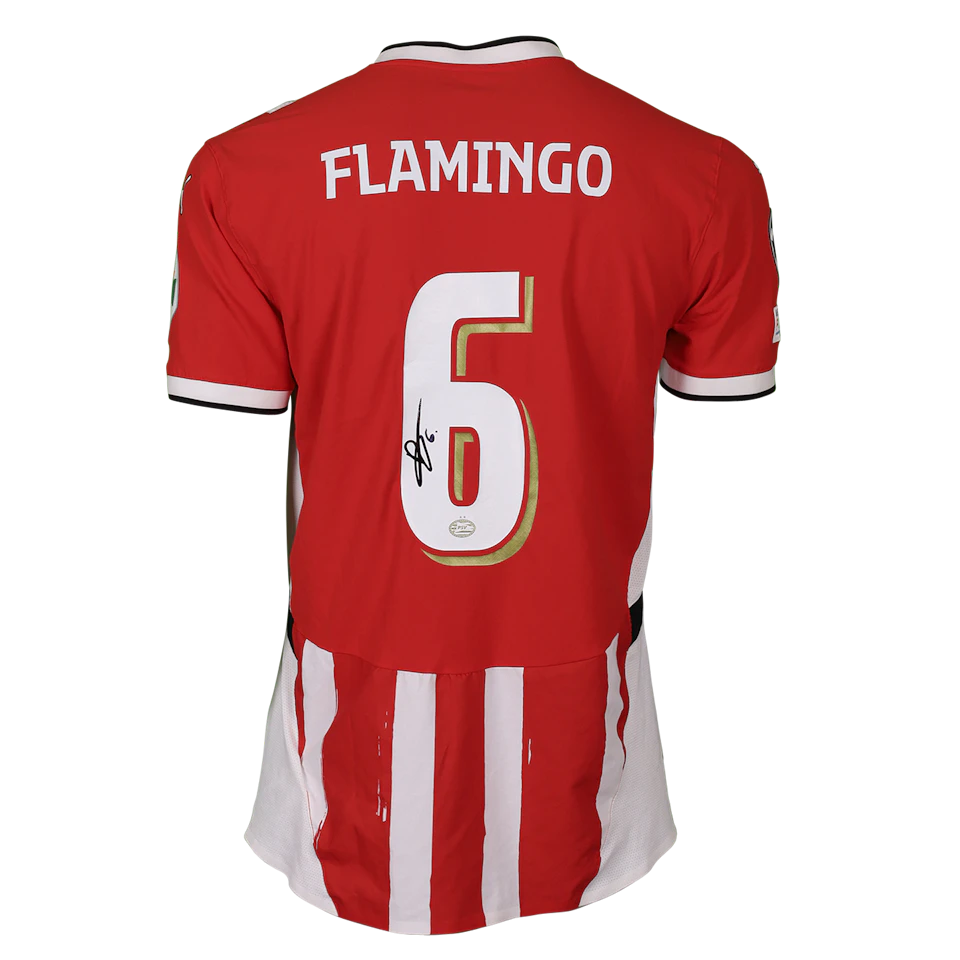 Ryan Flamingo PSV jersey