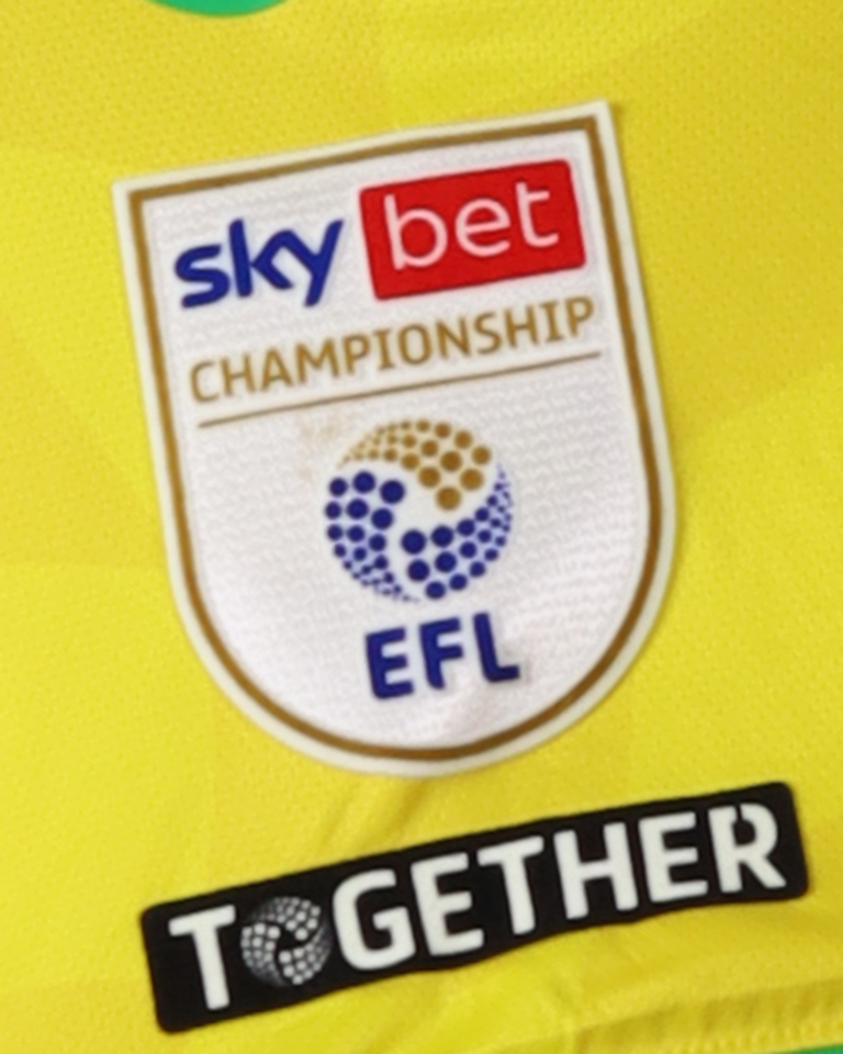Borja Sainz Eguskiza Norwich City shirt