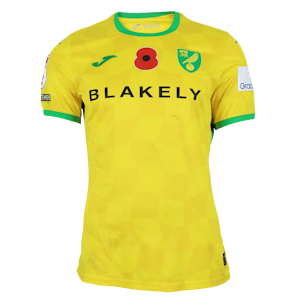 Emiliano Marcondes Camargo Hansen Norwich City jersey