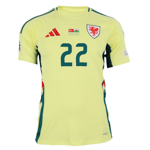 Josh Sheehan Wales jersey