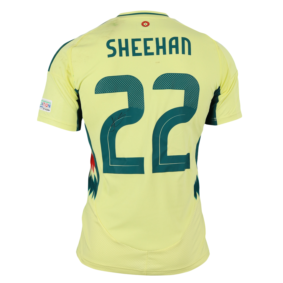 Josh Sheehan Wales jersey