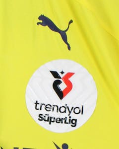 Mert Hakan Yandaş Fenerbahçe shirt