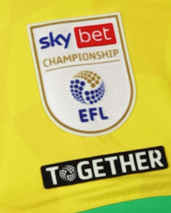 Borja Sainz Eguskiza Norwich City shirt