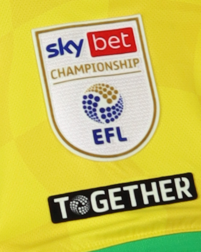 Borja Sainz Eguskiza Norwich City shirt