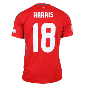 Mark Thomas Harris Wales shirt