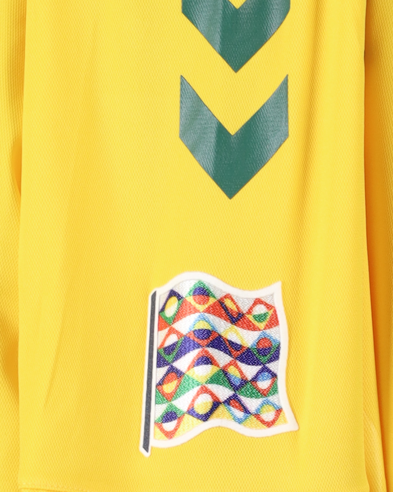 Gvidas Gineitis Lithuania jersey