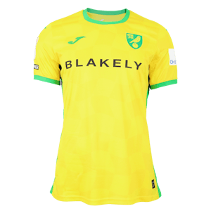 Ashley Barnes Norwich City shirt