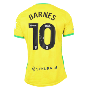 Ashley Barnes Norwich City shirt