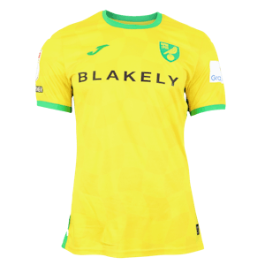 Ashley Barnes Norwich City shirt