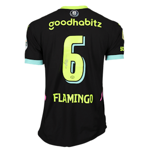 Ryan Flamingo PSV shirt