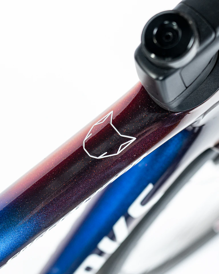 Junior Lecerf | Specialized S-Works Tarmac SL8