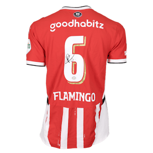 Ryan Flamingo PSV shirt