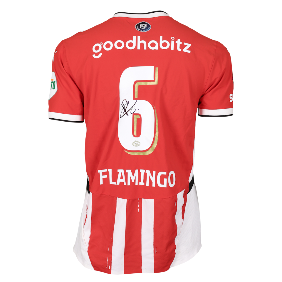 Ryan Flamingo PSV shirt
