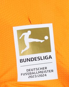 Maillot de Lukáš Hrádecký (Bayer Leverkusen)