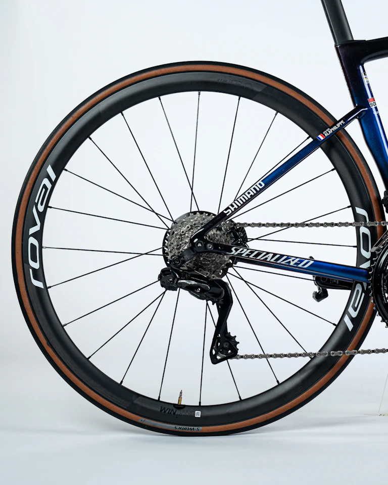 Julian Alaphilippe | Specialized S-Works Tarmac SL8