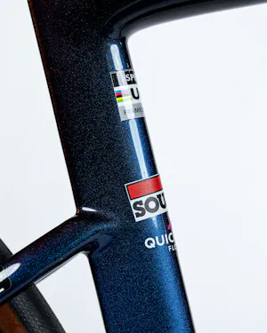 Julian Alaphilippe | Specialized S-Works Tarmac SL8