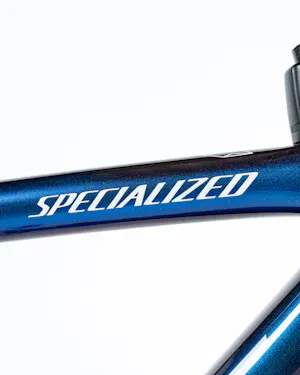 Julian Alaphilippe | Specialized S-Works Tarmac SL8