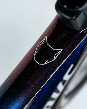 Julian Alaphilippe | Specialized S-Works Tarmac SL8