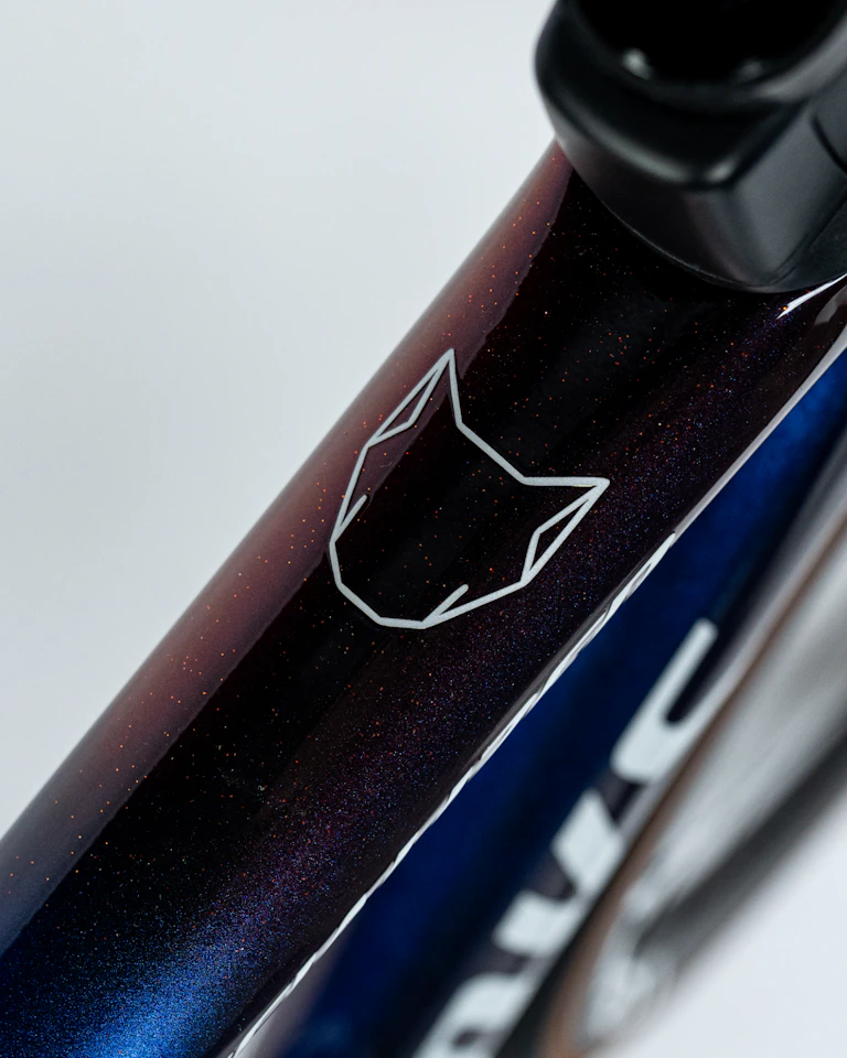 Julian Alaphilippe | Specialized S-Works Tarmac SL8