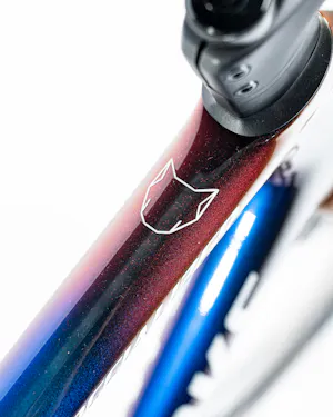 Tim Merlier | Specialized S-Works Tarmac SL8