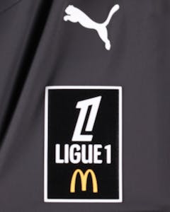 Maillot de Steve Mandanda (Stade Rennais F.C.)