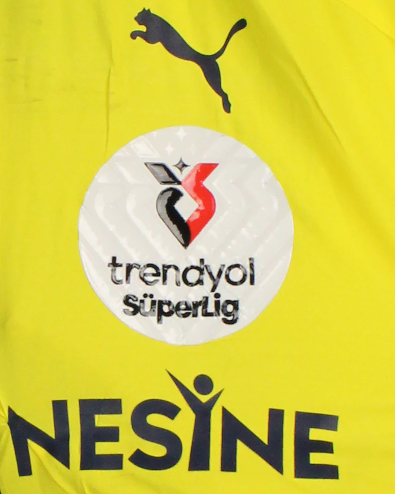 Cenk Tosun Fenerbahçe shirt