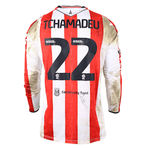 Junior Tchamadeu Stoke City shirt