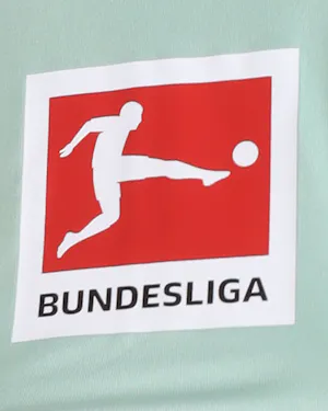 Marco Friedl  Werder Bremen jersey