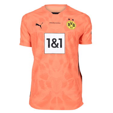 Alexander Meyer Borussia Dortmund jersey