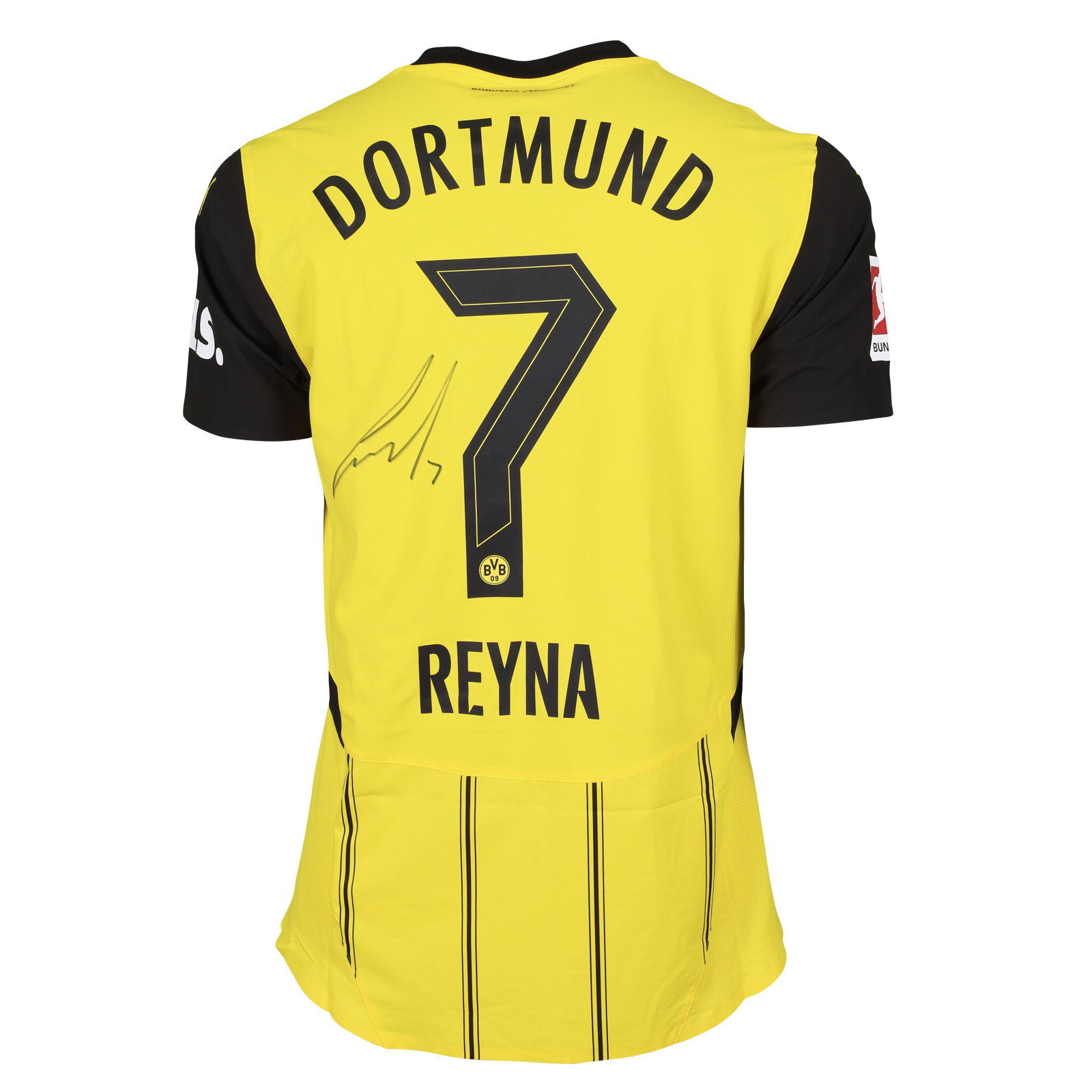 Giovanni Reyna vs. TSG Hoffenheim