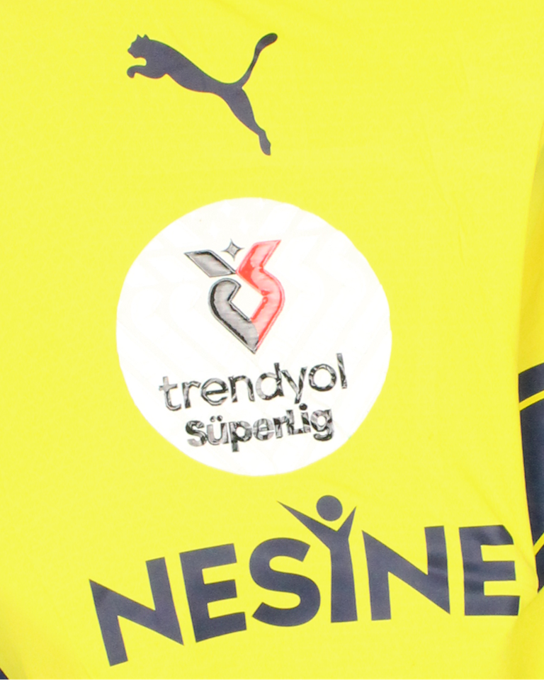 Dušan Tadić Fenerbahçe forması