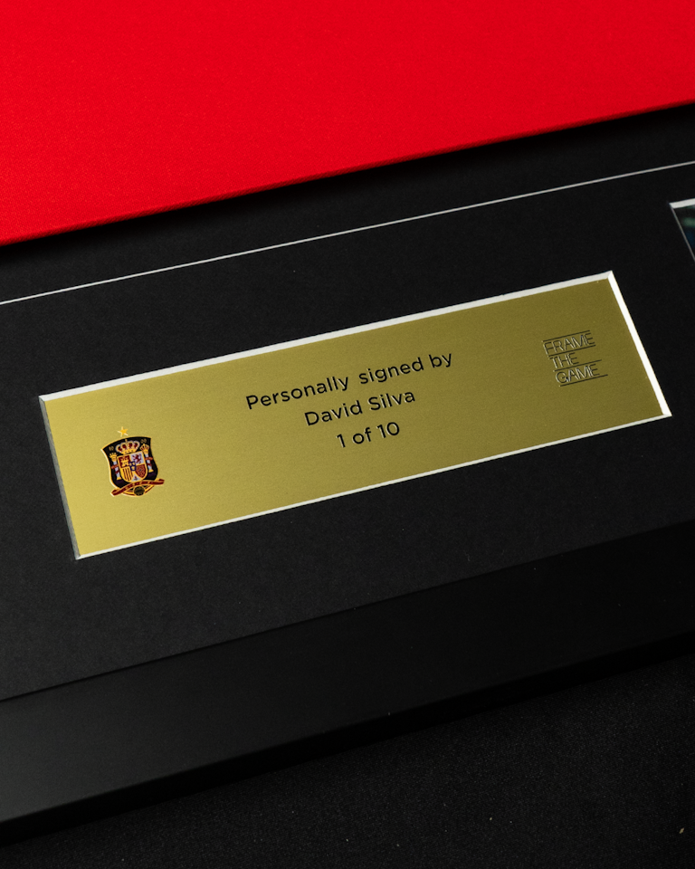 David Silva Signed - World Cup Champion 2010