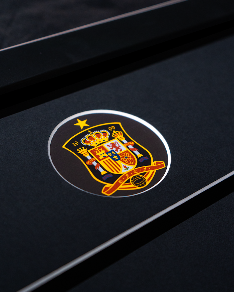 David Silva Signed - La Roja 2010