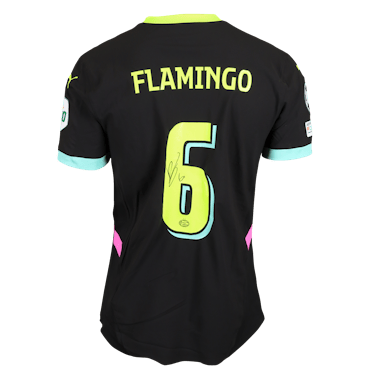 Ryan Flamingo PSV forması